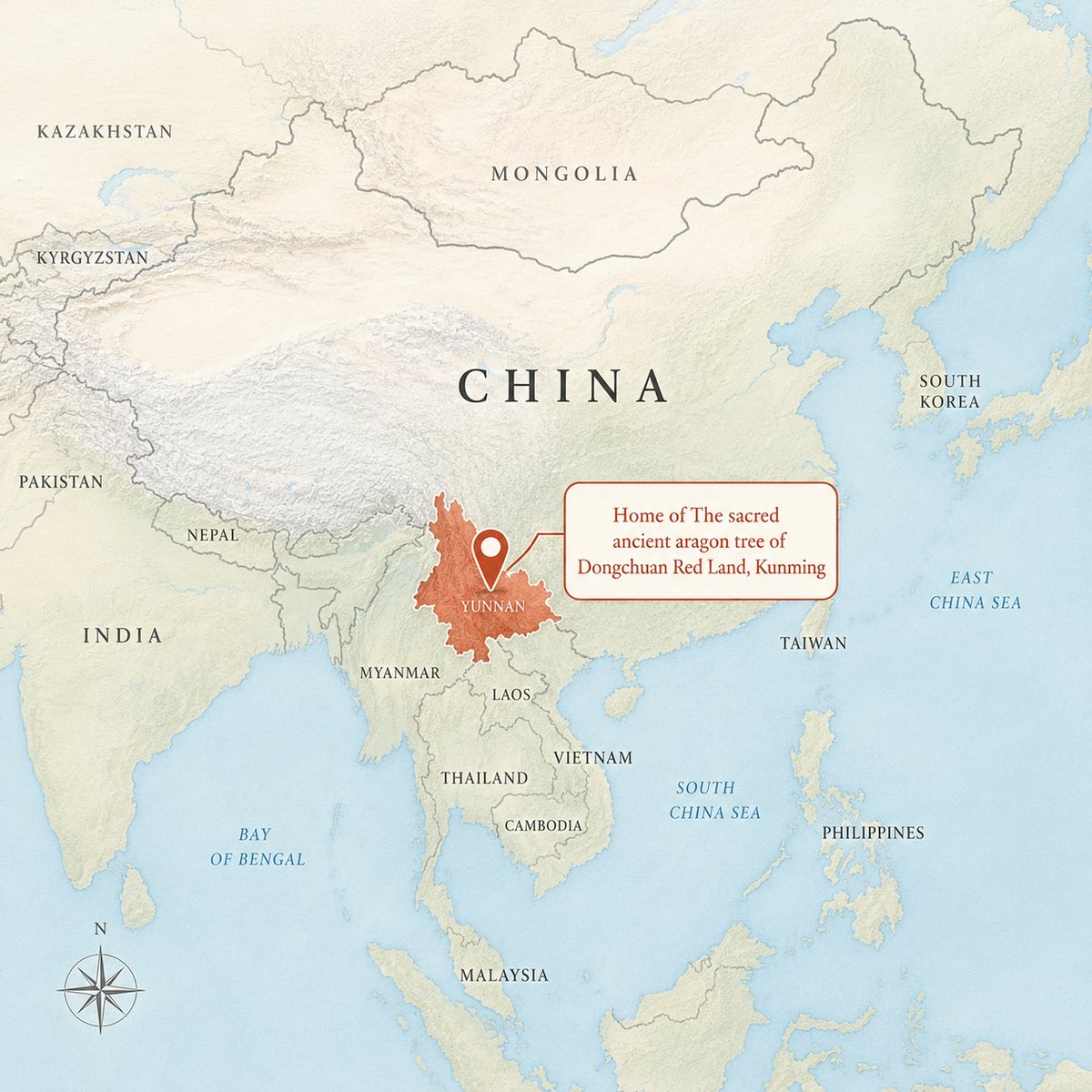 Map of China highlighting Yunnan province, home of the dragon blood tree