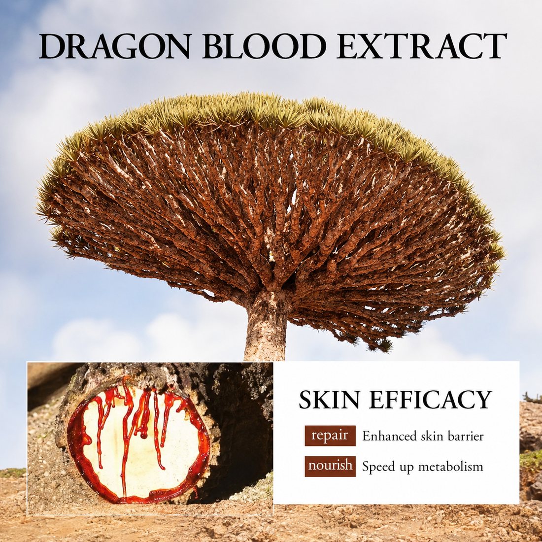 Deep red dragon's blood resin beside the serum bottle